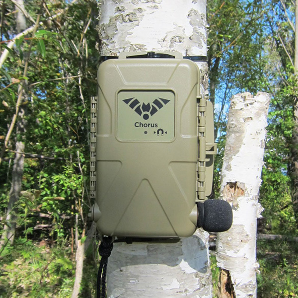 �����E�����g���R�[�_�[Chorus�i�R�[���X�j